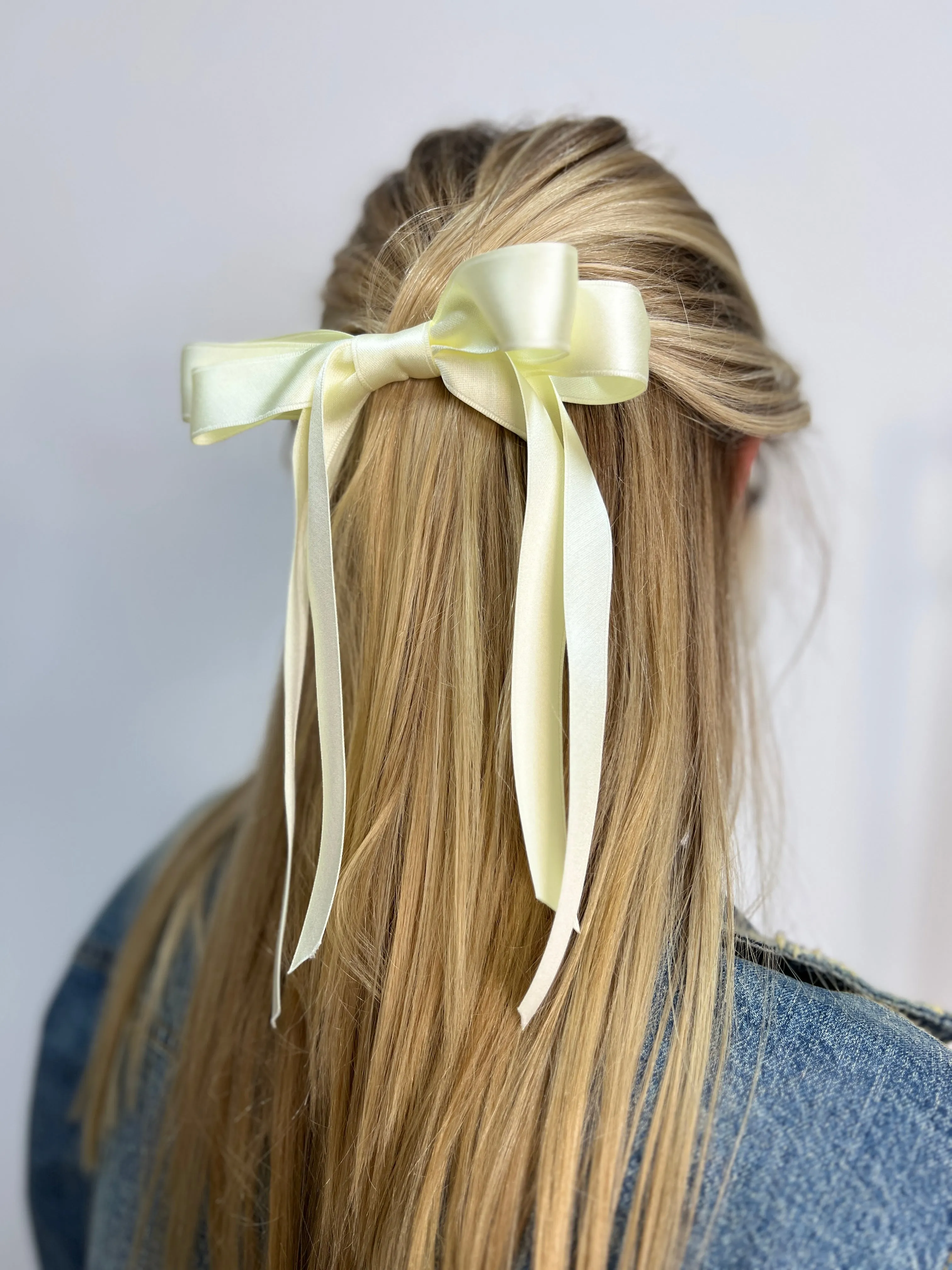 Double Bow Hair Clip